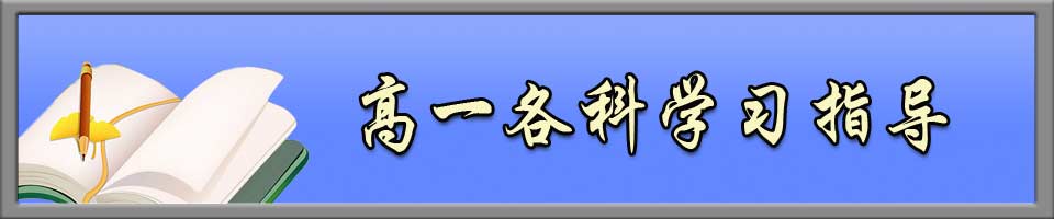 高一各科，学习方法，知识点，语文，英语，数学，物理，化学，生物，历史，地理，政治