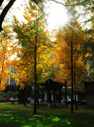 西北大学