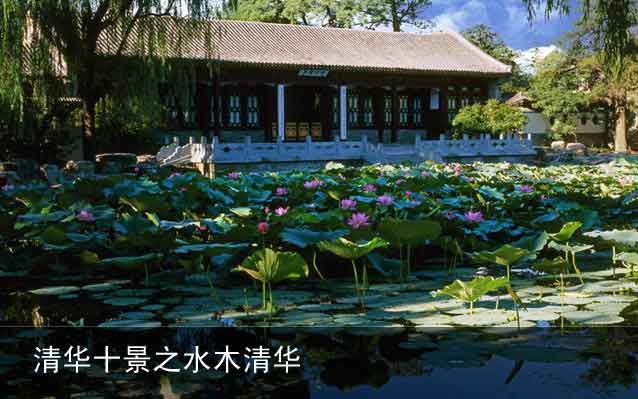 水木清华