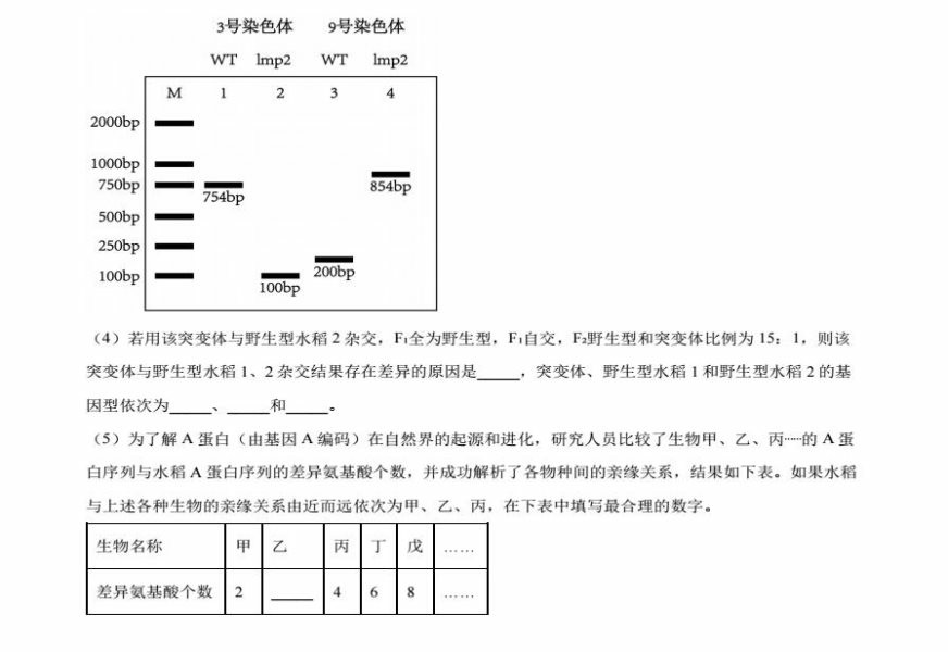 2024年新高考九省联考生物试题（江西省）