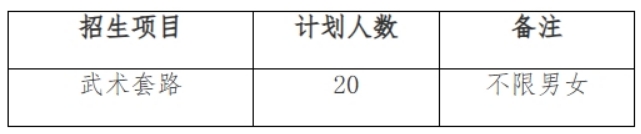 呼和浩特民族学院2024年武术与民族传统体育专业招生简章