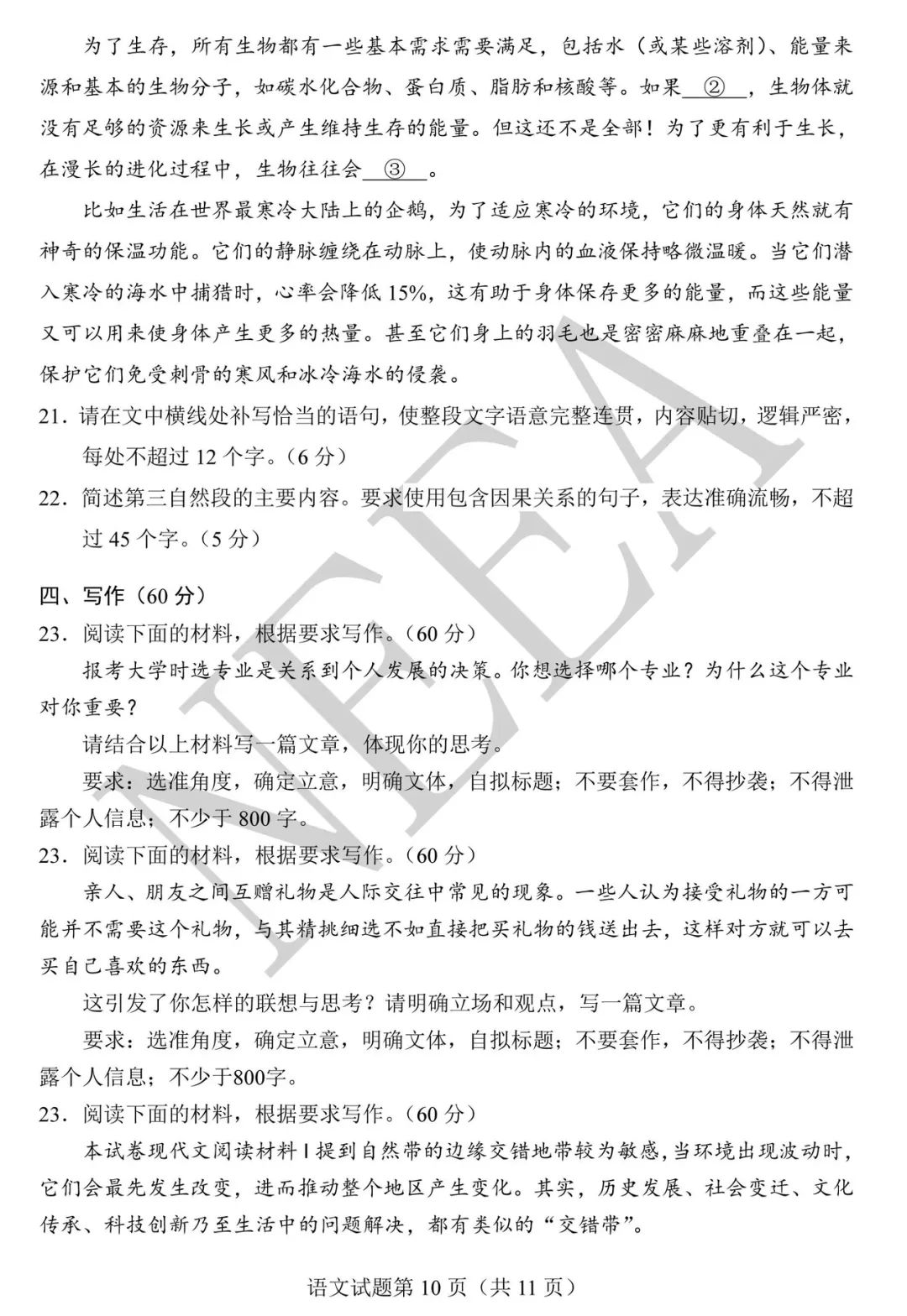 2024年高三九省联考（新高考适应性测试）语文试题完整版