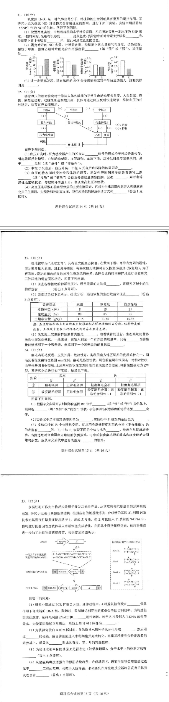 2024年九省联考高考适应性测试河南理科综合试题