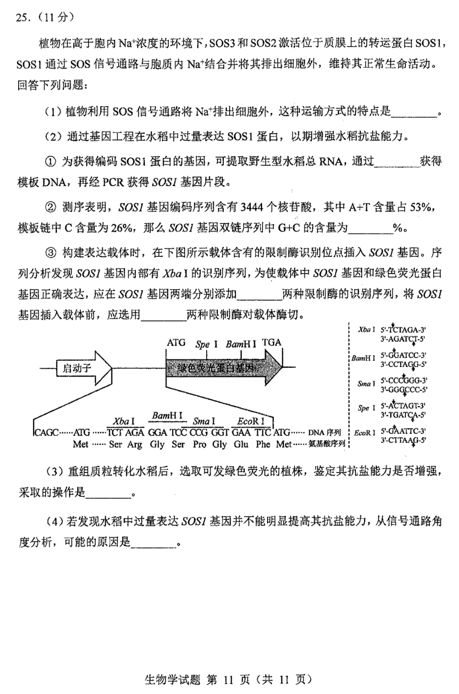 2024年新高考九省联考黑龙江、吉林生物试题