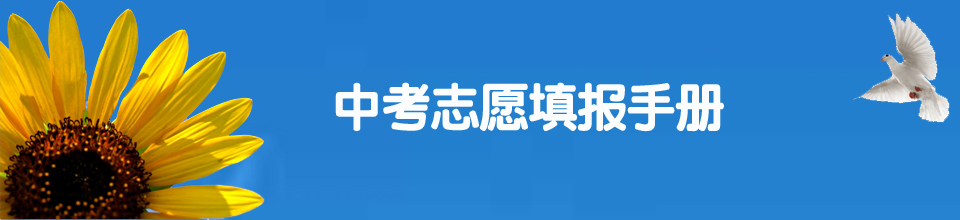 初中学习方法汇总