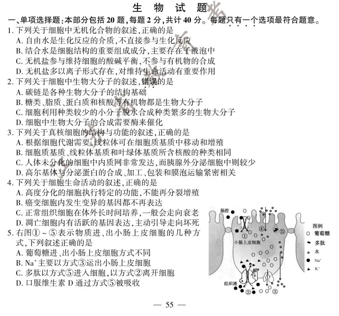 2020江苏高考生物真题