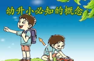 幼升小必知的概念